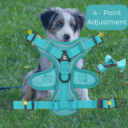 PupPatrol - Leash with Harness