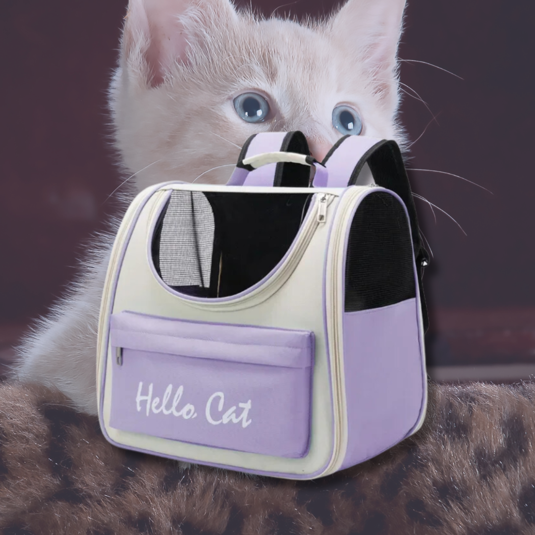 KittyTrek: Adventure bag