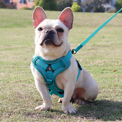 PupPatrol - Leash with Harness