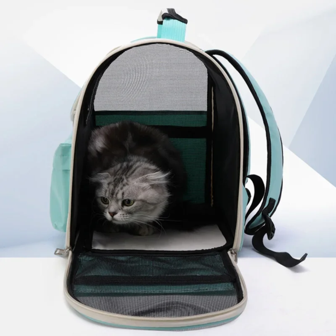 KittyTrek: Adventure bag